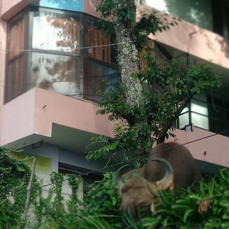 Sugan Residancy Kodai Kodaikanal Ngoại thất bức ảnh